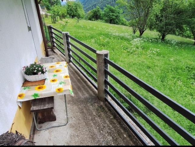 Apartma Nadiza Borjana107 Exterior foto