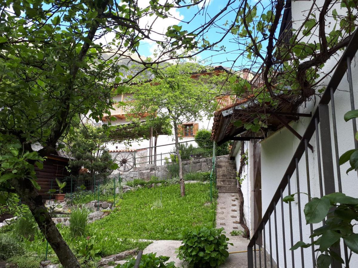 Apartma Nadiza Borjana107 Exterior foto