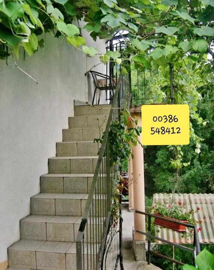 Apartma Nadiza Borjana107 Exterior foto